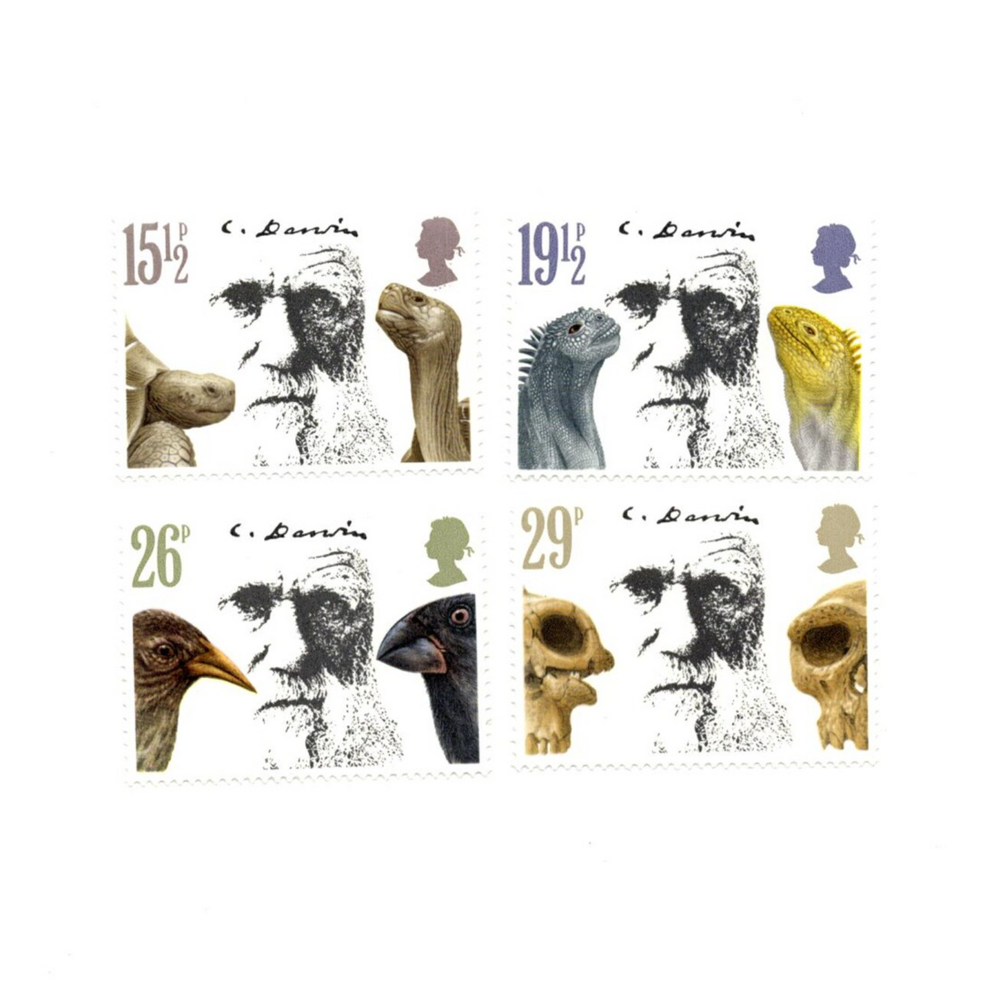 Collection of stamps featuring various animals and a portrait with measurement labels.