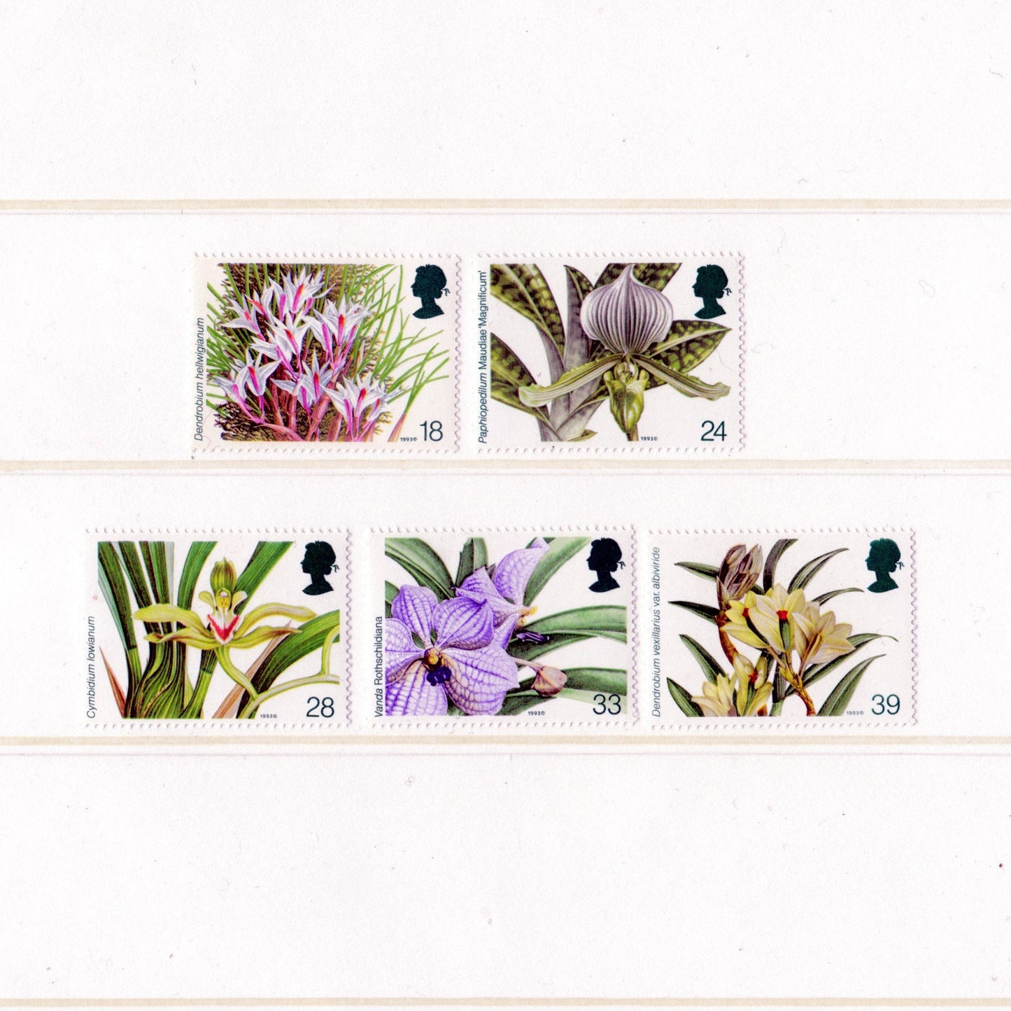 Set of postage stamps featuring illustrations of flowers on a white background