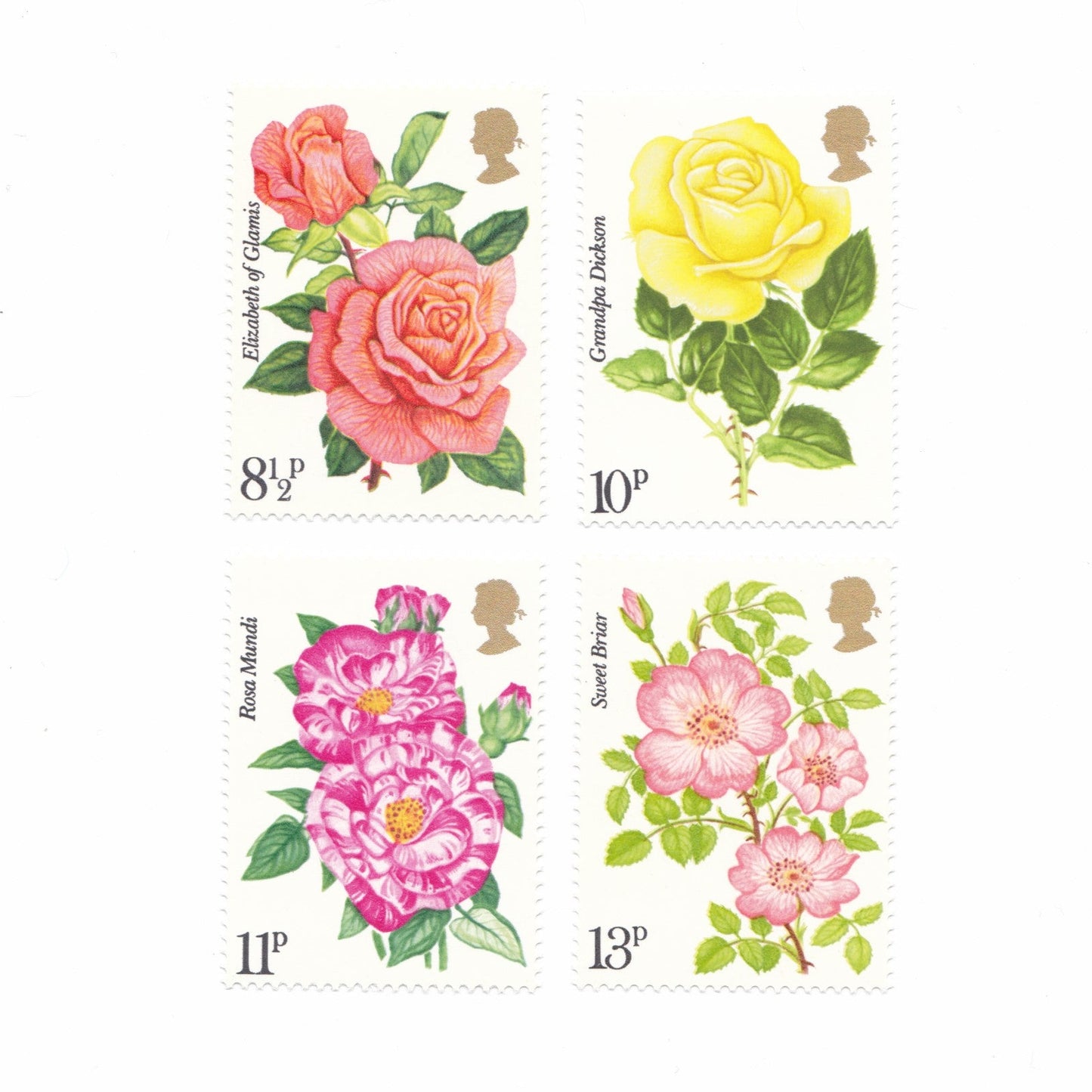 Illustrations of roses on postage stamps