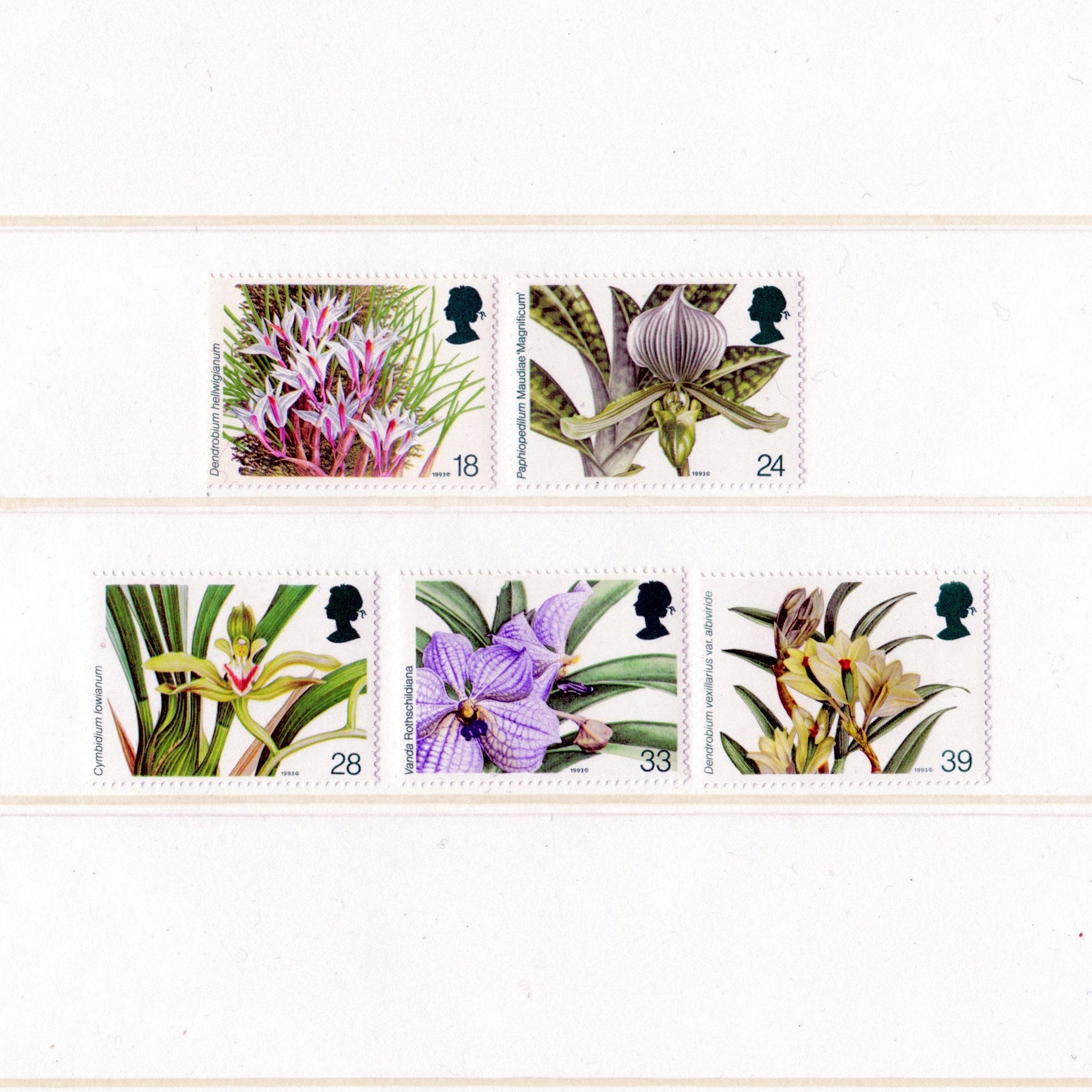 Set of postage stamps featuring illustrations of flowers on a white background
