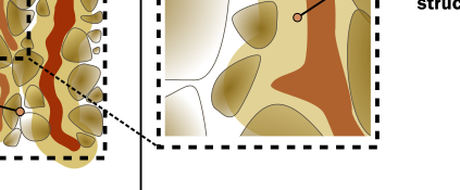 A zoomed in image showing the use of the outset method with a dark coloured root and then an outset of light brown.